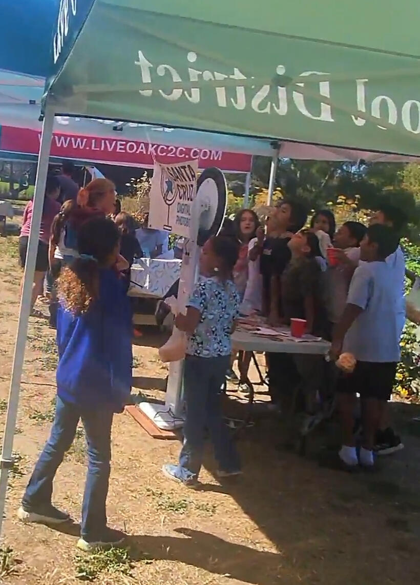 Non-Profit Farmers’ Market (Essentials Package Setup with Portable Power Station/Wi-Fi Hotspot/Props Table Add-on Items)